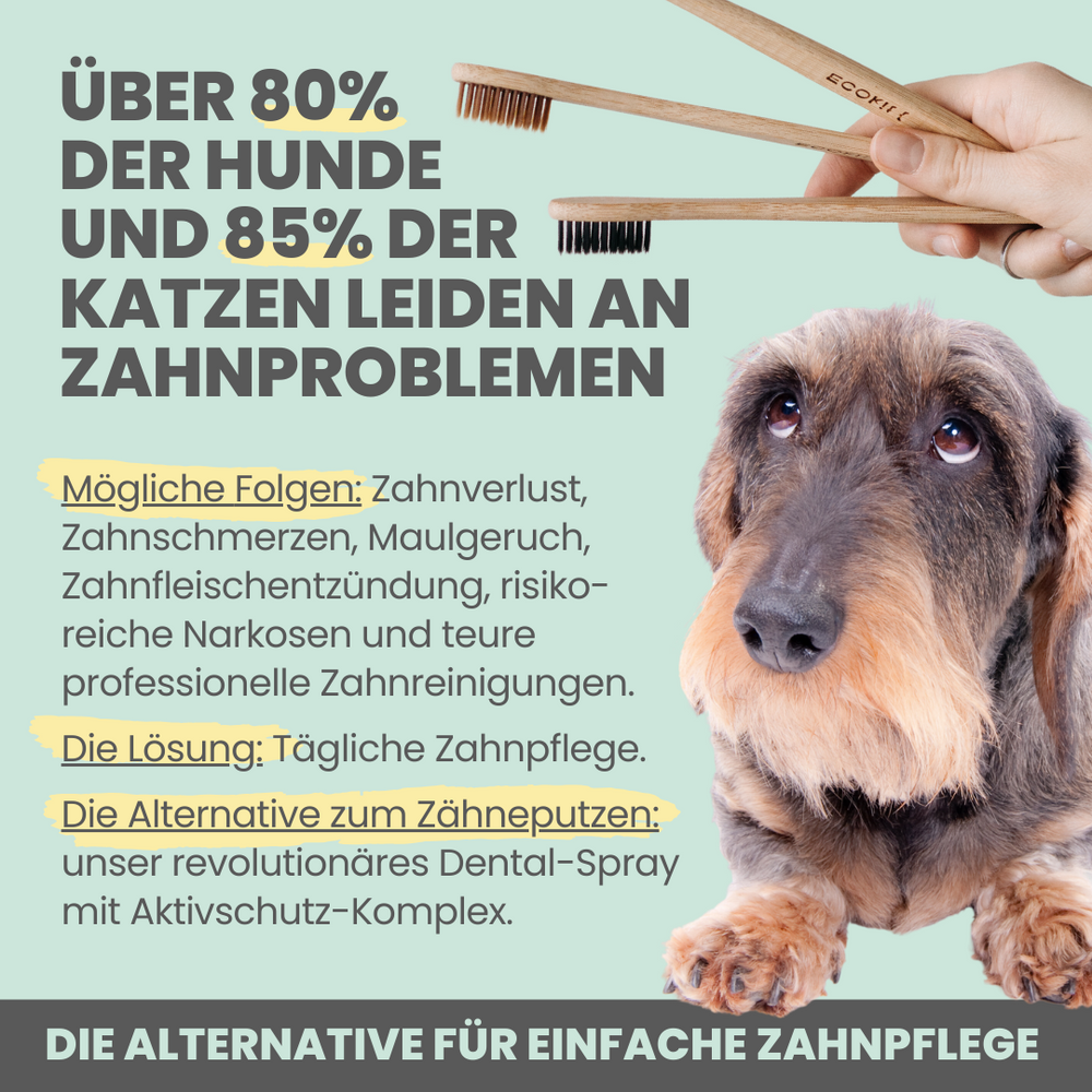 
                  
                    Hunde-Dental-Box: Natürliche Zahnpflege mit Dentalspray, Enzymodent & Dentalmix
                  
                