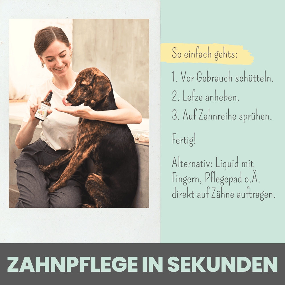 
                  
                    Dentalspray bei Zahnstein für Hunde und Katzen [Jahresvorrat]
                  
                