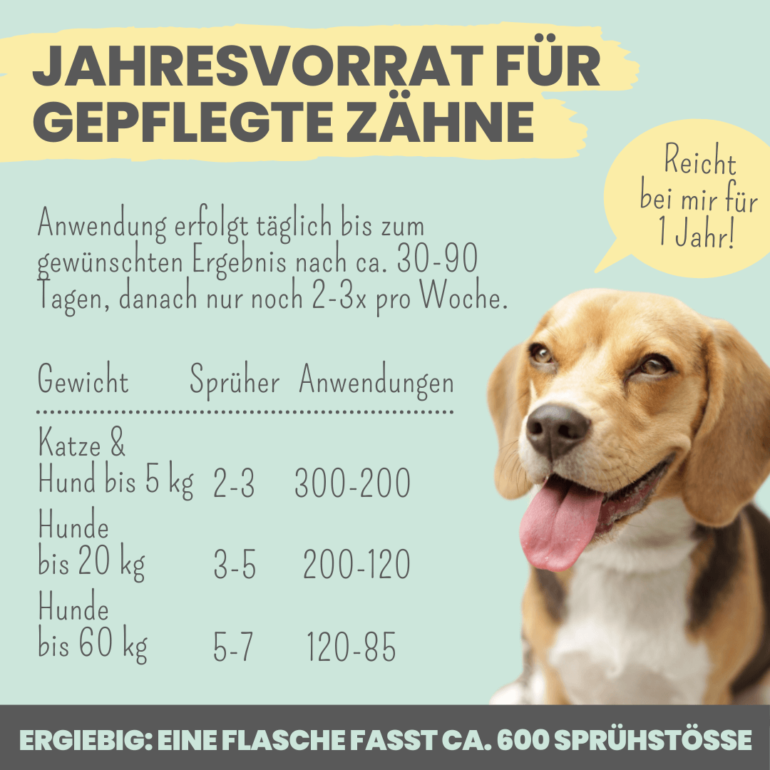 
                  
                    Dentalspray bei Zahnstein für Hunde und Katzen [Jahresvorrat]
                  
                