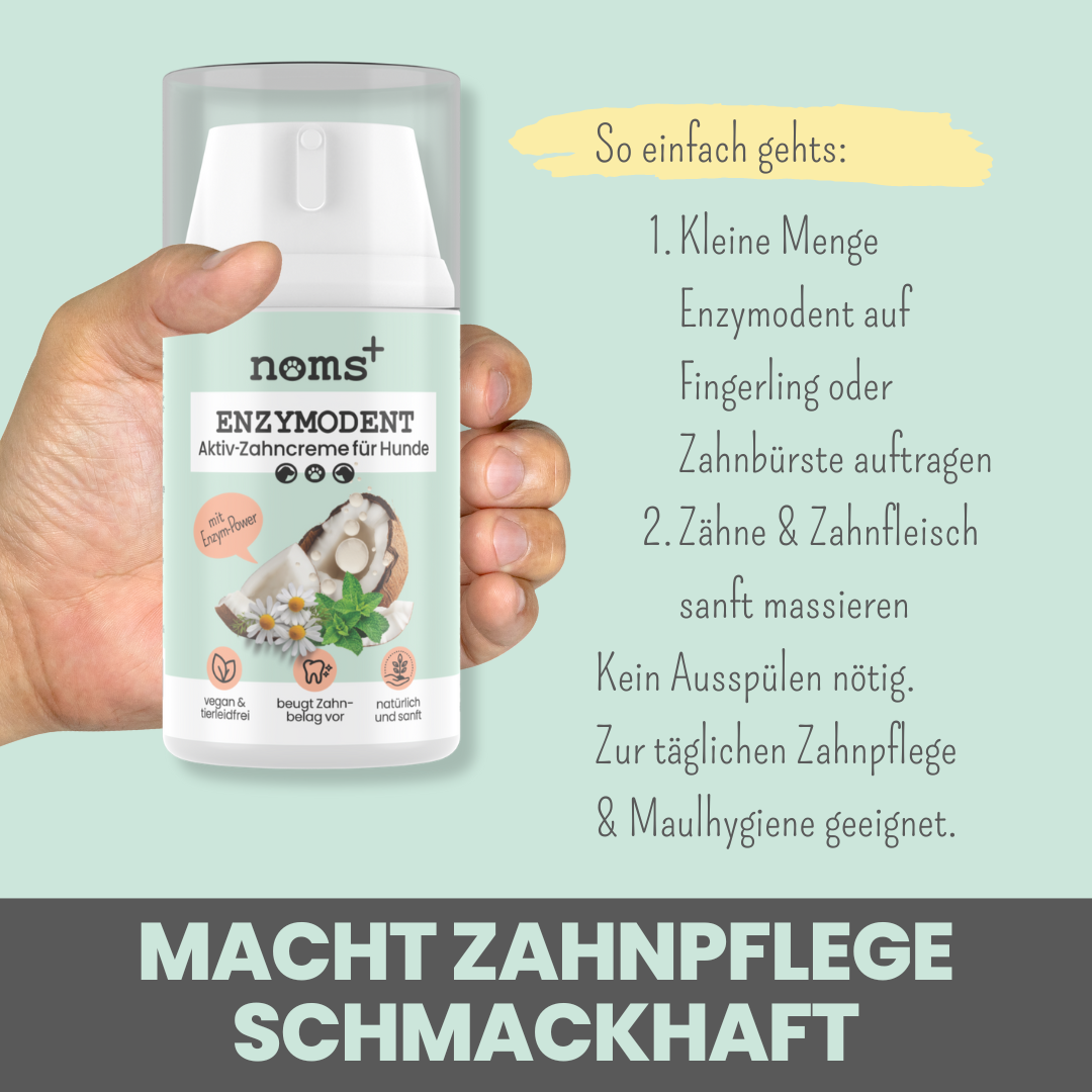 
                  
                    Hunde-Dental-Box: Natürliche Zahnpflege mit Dentalspray, Enzymodent & Dentalmix
                  
                