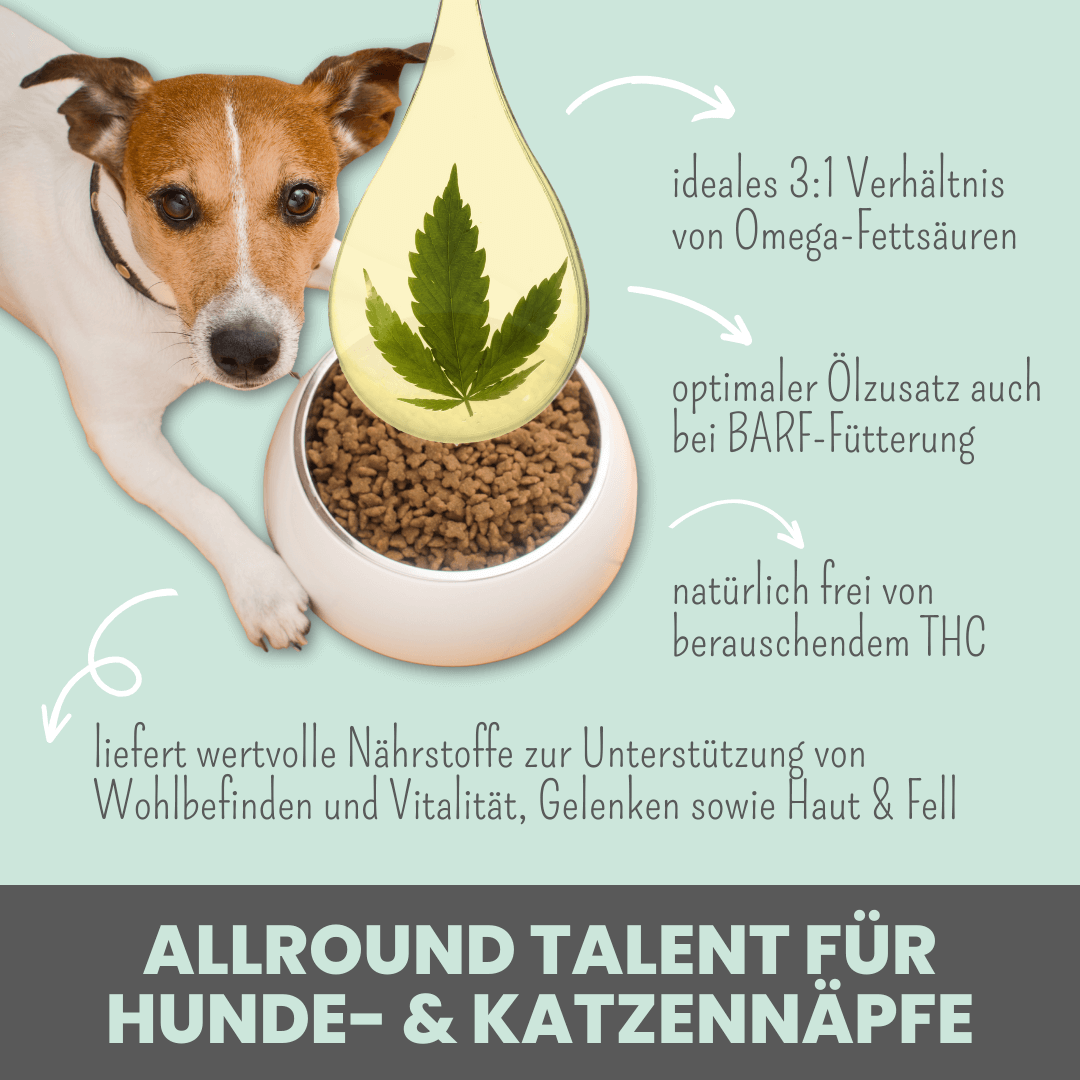 
                  
                    Kaltgepresstes Hanföl (250ml)
                  
                