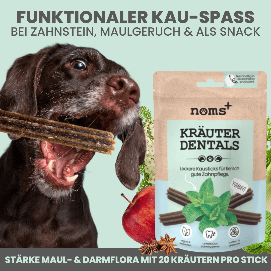 
                  
                    Kräuter Dentals für Hunde zur Zahn- und Darmpflege (120g)
                  
                