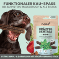 Black Week Hunde-Dental-Box