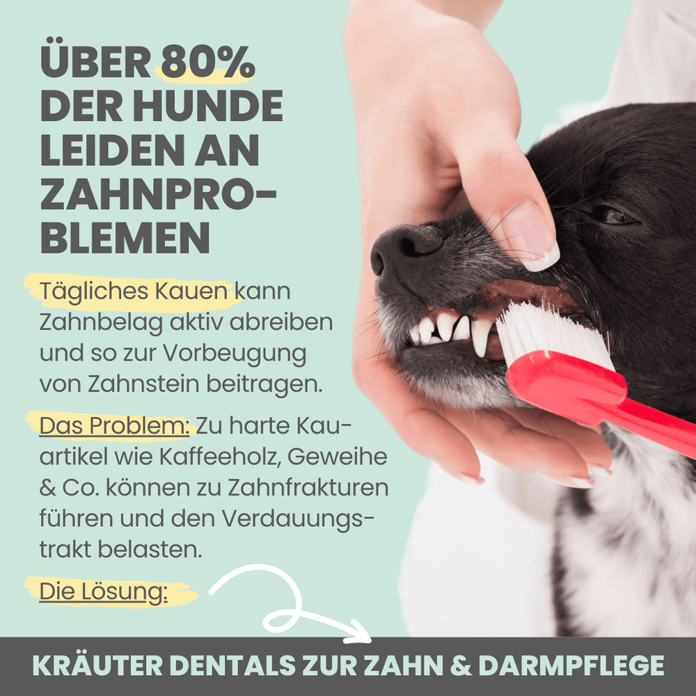 
                  
                    Kräuter Dentals für Hunde zur Zahn- und Darmpflege (120g)
                  
                