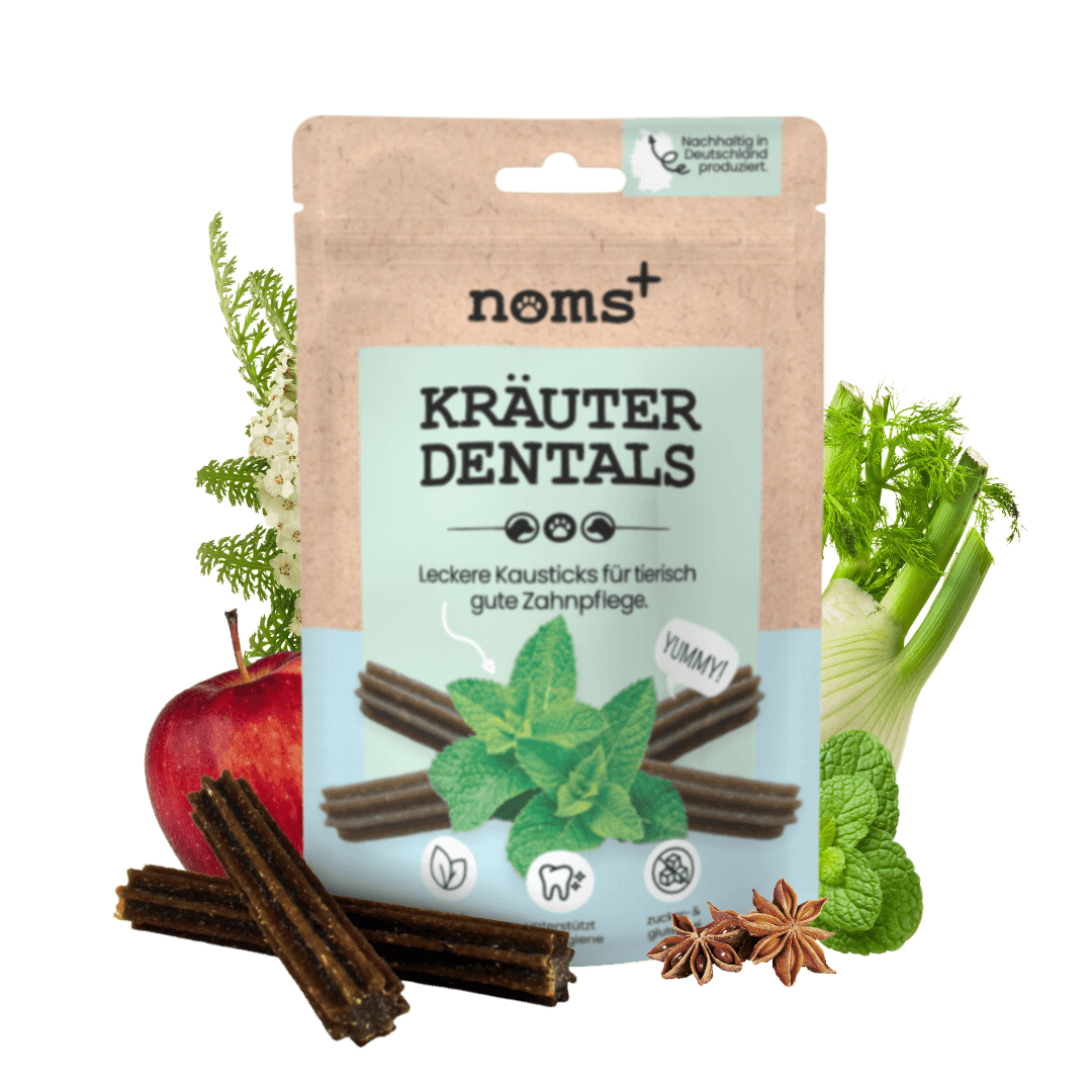 
                  
                    Kräuter Dentals für Hunde zur Zahn- und Darmpflege (120g)
                  
                