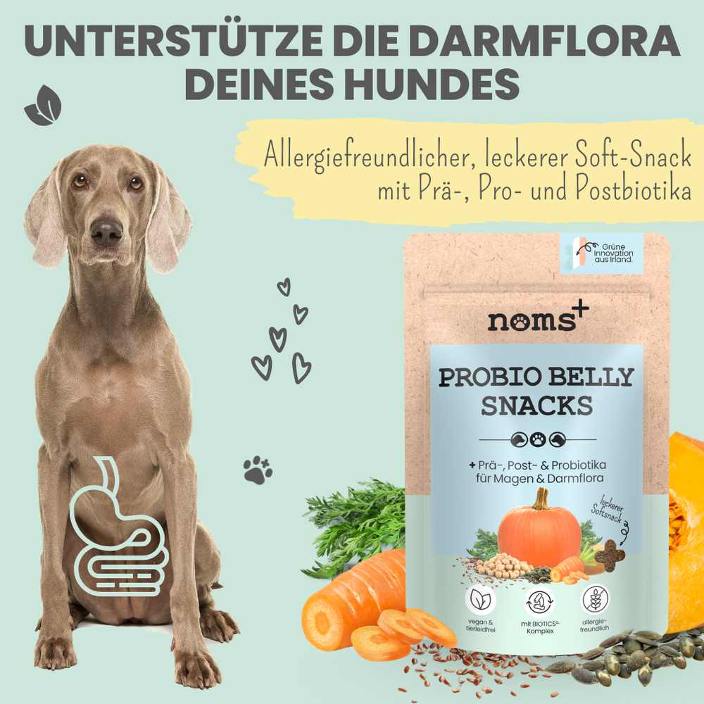 SOS Sodbrennen Bundle: Probio Belly Snacks & Präbio Belly Akut für Hun –  nomsplus
