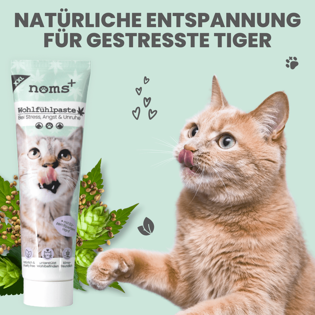 
                  
                    Wohlfühlpaste: Beruhigungspaste für Katzen mit Hanf & L-Tryptophan 100ml
                  
                