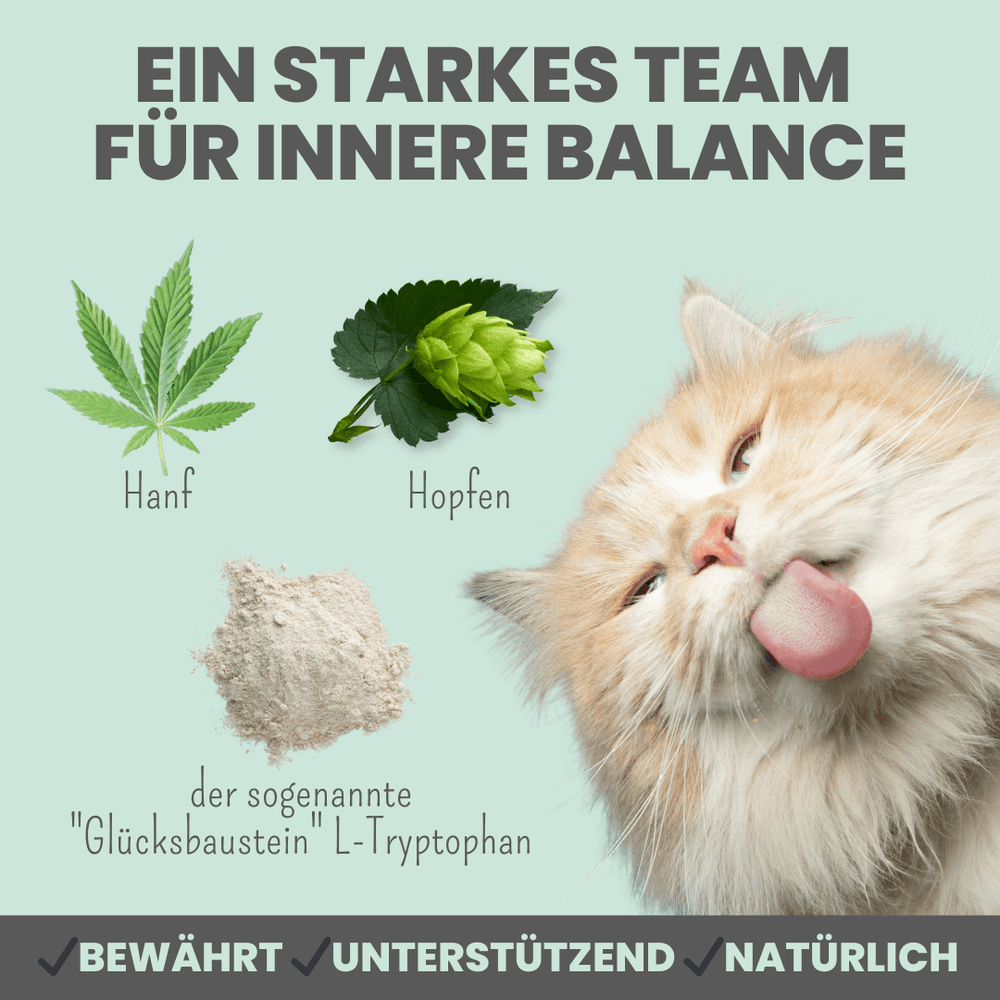 
                  
                    Wohlfühlpaste: Beruhigungspaste für Katzen mit Hanf & L-Tryptophan 100ml
                  
                