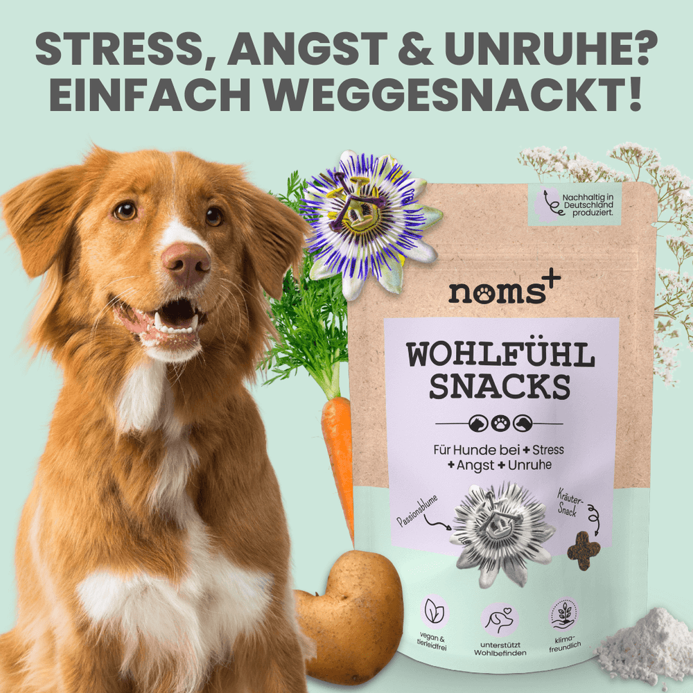 PawLicko Donut Leckerli-Spielzeug Für Hunde | Interaktiv, Gefrorene Snacks | Gegen Langeweile & Angst