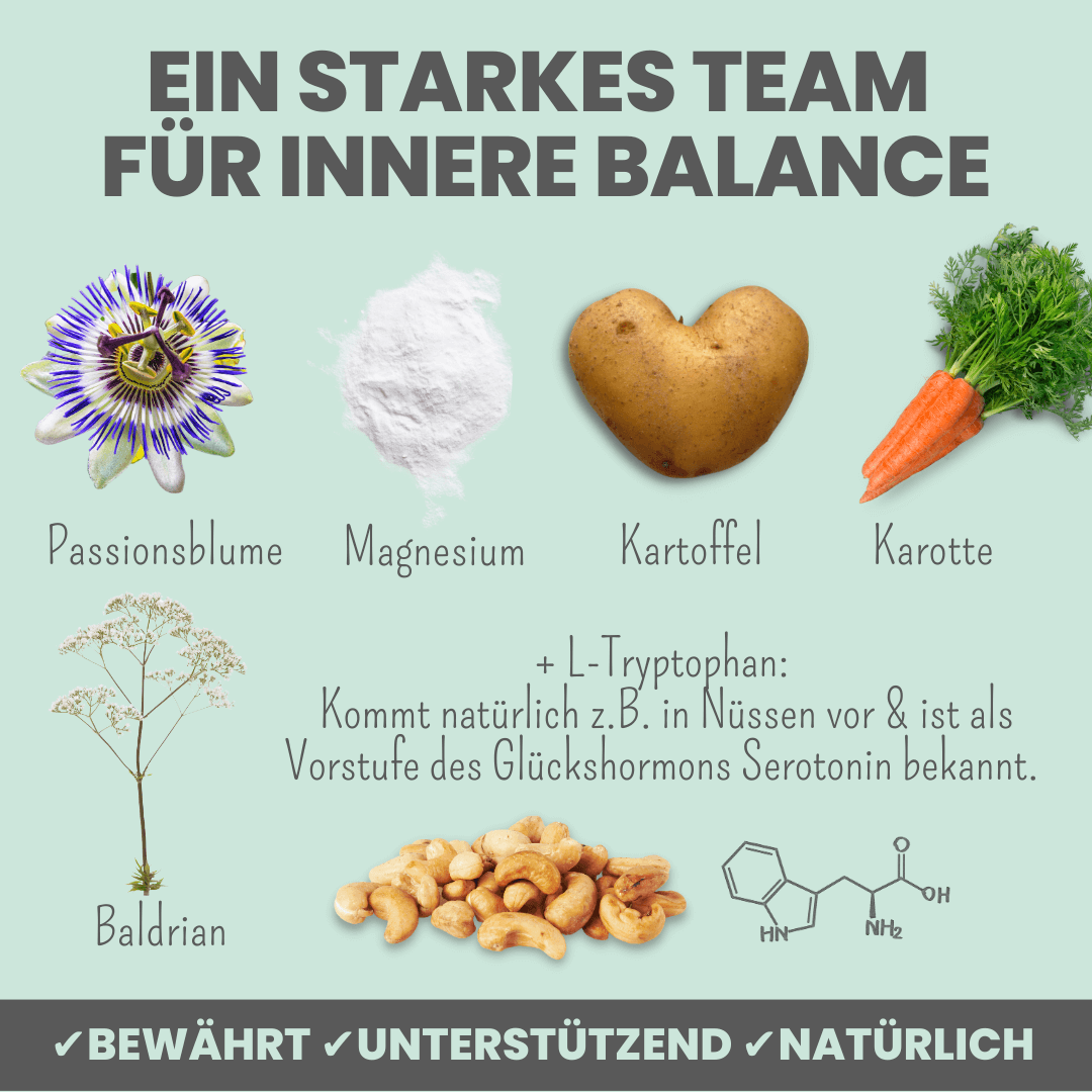 
                  
                    Wohlfühlsnacks für Hunde bei Stress, Angst, Unruhe & Hyperaktivität
                  
                