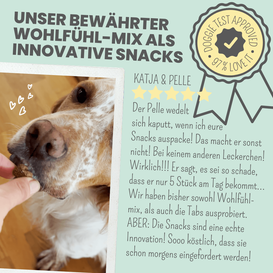 
                  
                    Wohlfühlsnacks für Hunde bei Stress, Angst, Unruhe & Hyperaktivität
                  
                