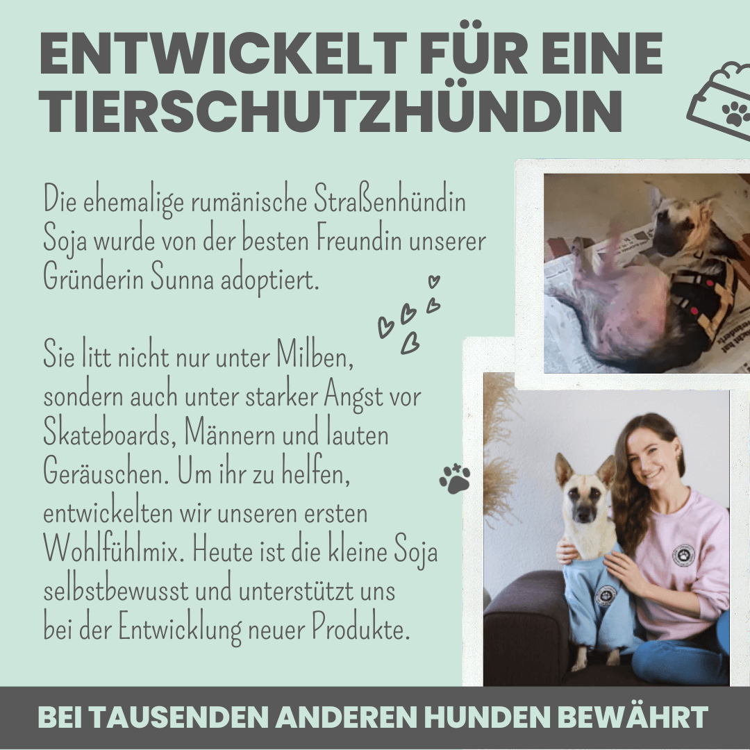 
                  
                    Wohlfühlsnacks für Hunde bei Stress, Angst, Unruhe & Hyperaktivität
                  
                