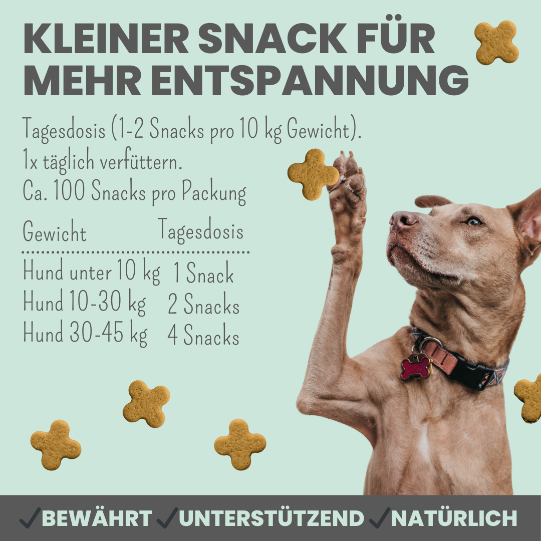 
                  
                    Wohlfühlsnacks für Hunde bei Stress, Angst, Unruhe & Hyperaktivität
                  
                