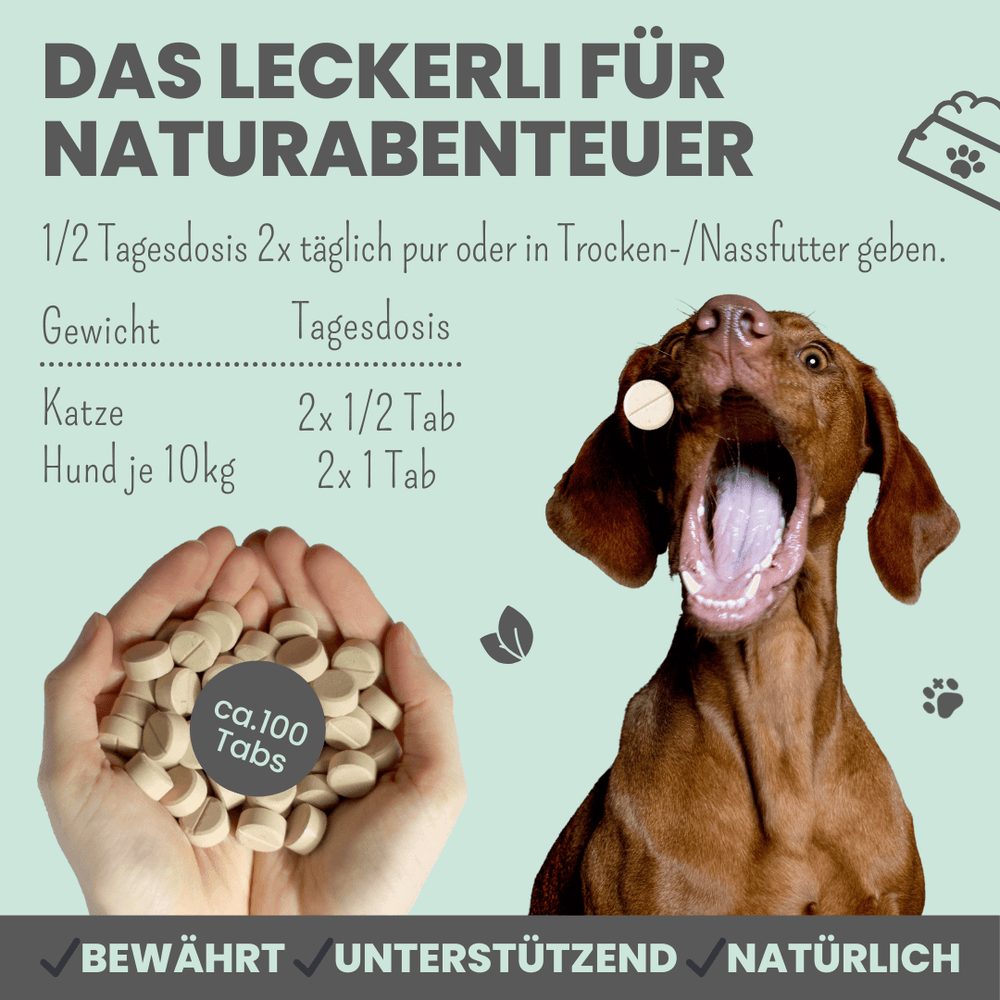 
                  
                    Pflanzenbasiertes Abwehr-Duo für Katzen
                  
                