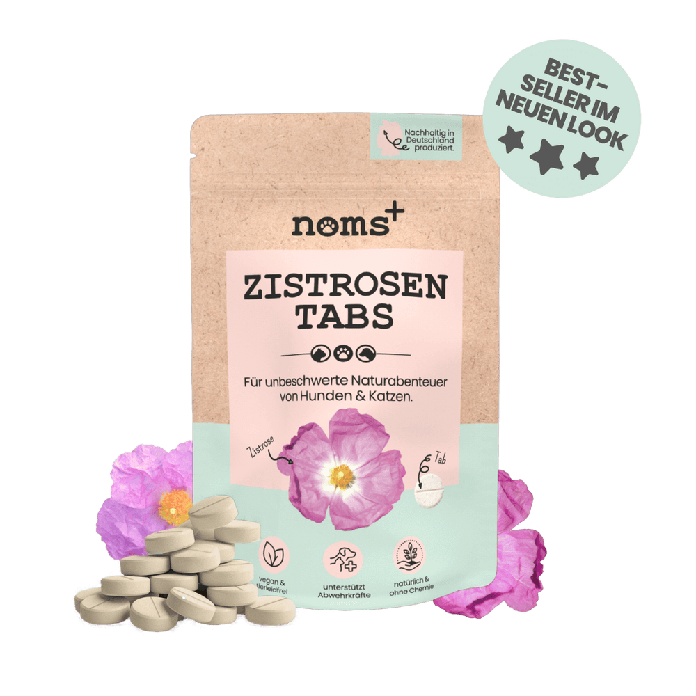 Zistrosen Tabs - 100% natürliches Zistrosen-Leckerli für Wald- & Wiesenspaziergänge