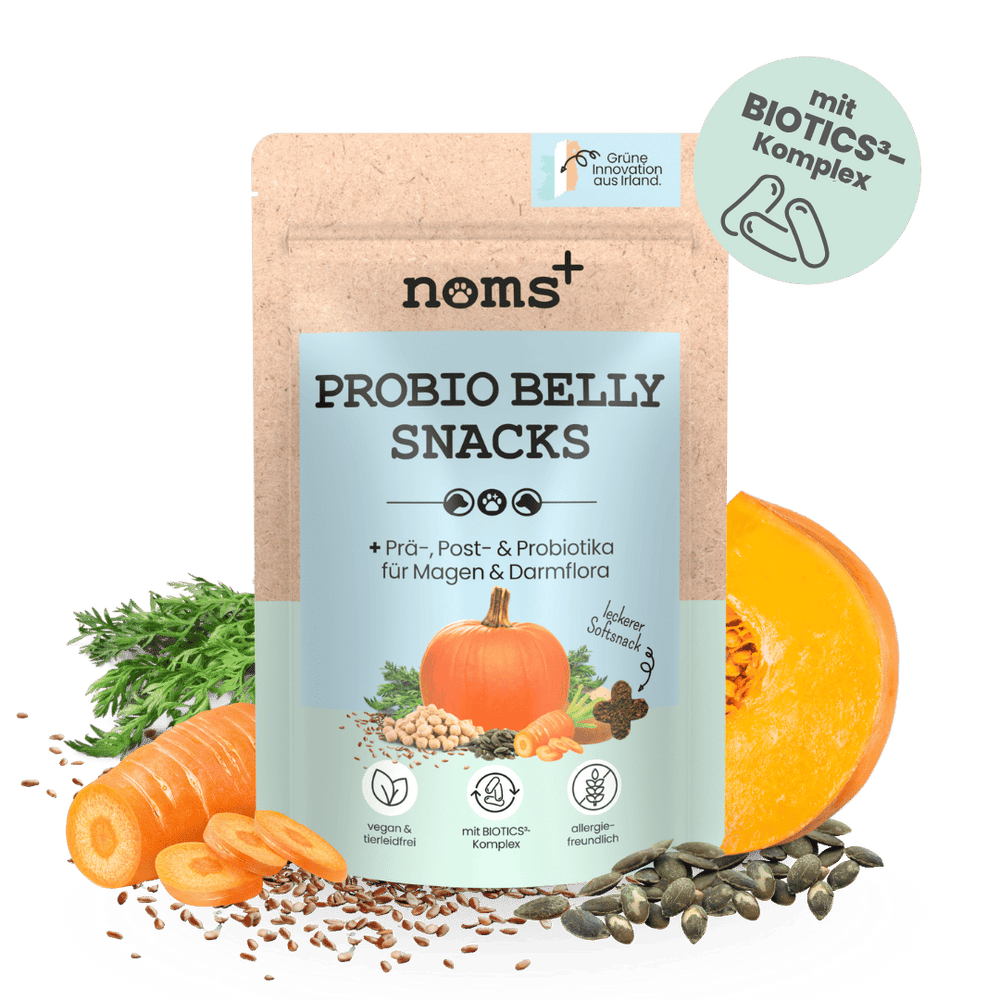 Probio Belly Snacks für Hunde mit BIOTICS³-Komplex: Präbiotika, Probiotika & Postbiotika
