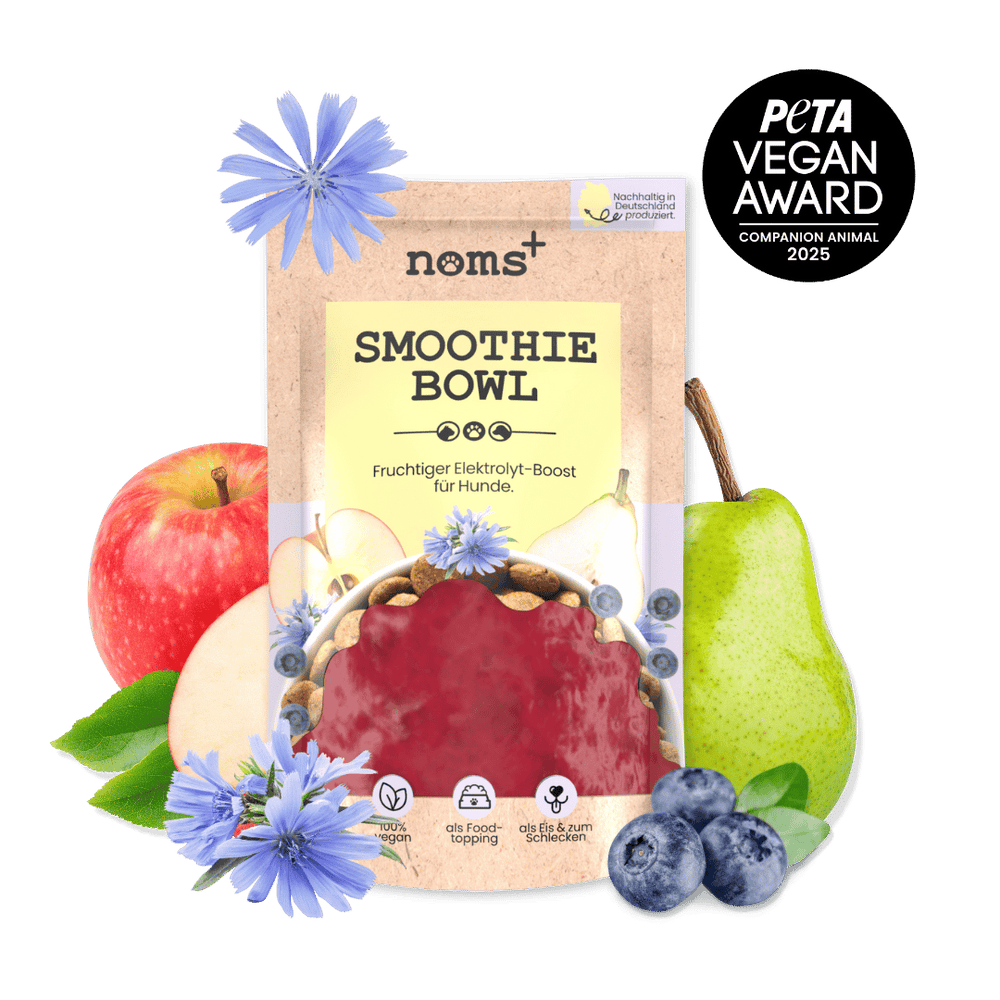 Hunde Smoothie-Bowl: Der fruchtig frische Elektrolyt-Booster - Ready to eat