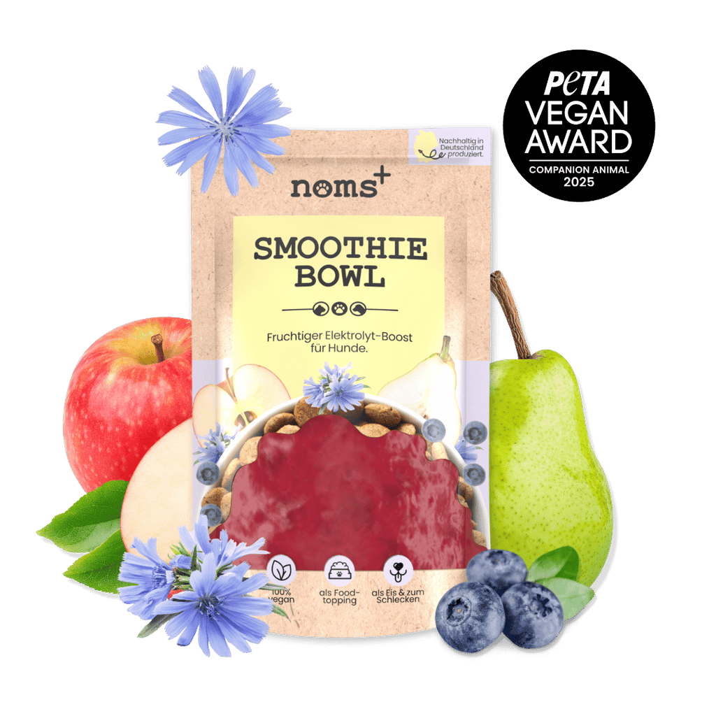 Hunde Smoothie-Bowl: Der fruchtig frische Elektrolyt-Booster - Ready to eat