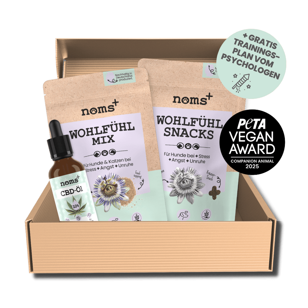 Wohlfühl-Box für Hunde zur natürlichen Beruhigung