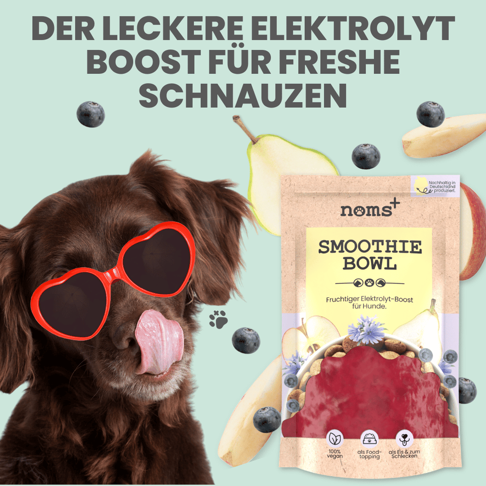
                  
                    Hunde Smoothie-Bowl: Der fruchtig frische Elektrolyt-Booster - Ready to eat
                  
                