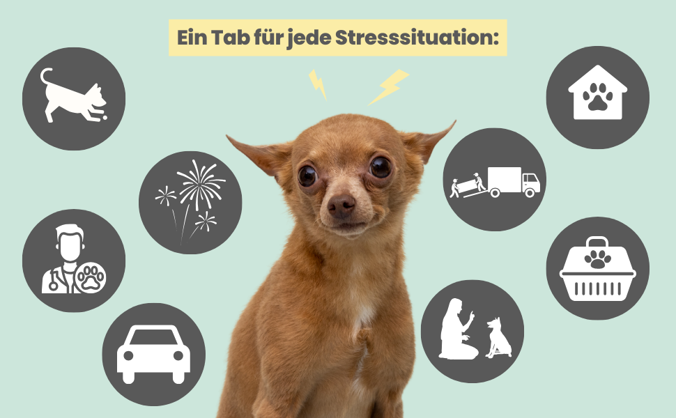 Stressfaktoren Wohlfuhltabs Beruhigung Hund