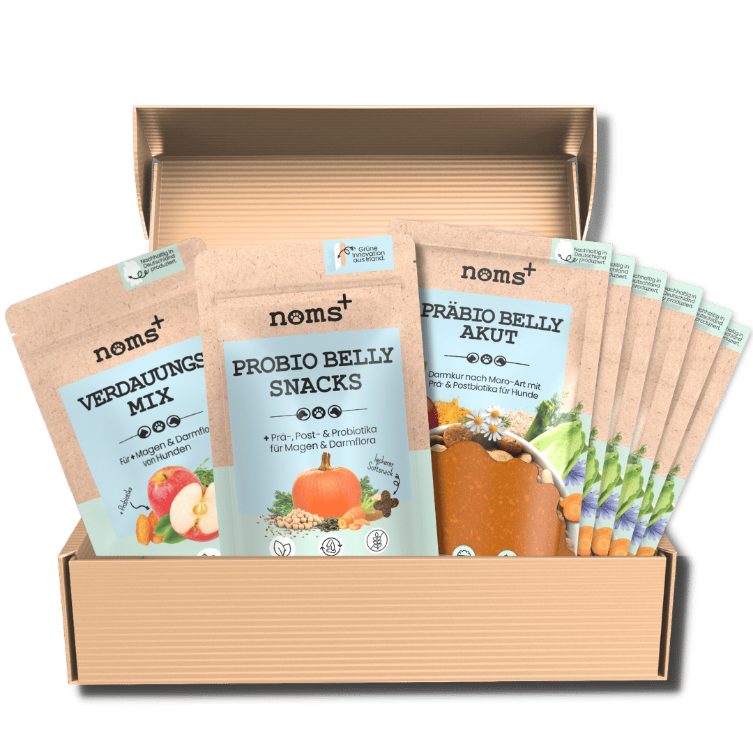 Darmaufbau Bundle
