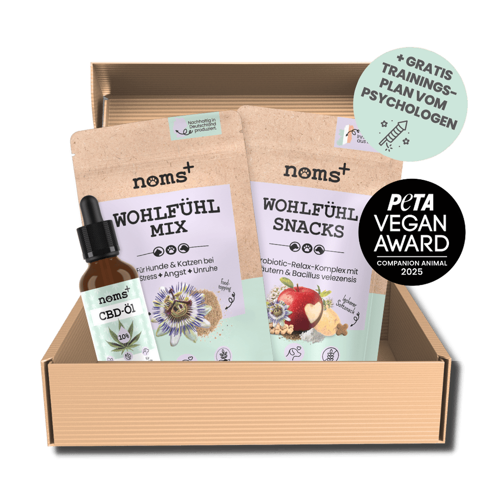 Wohlfühl-Box für Hunde zur natürlichen Beruhigung
