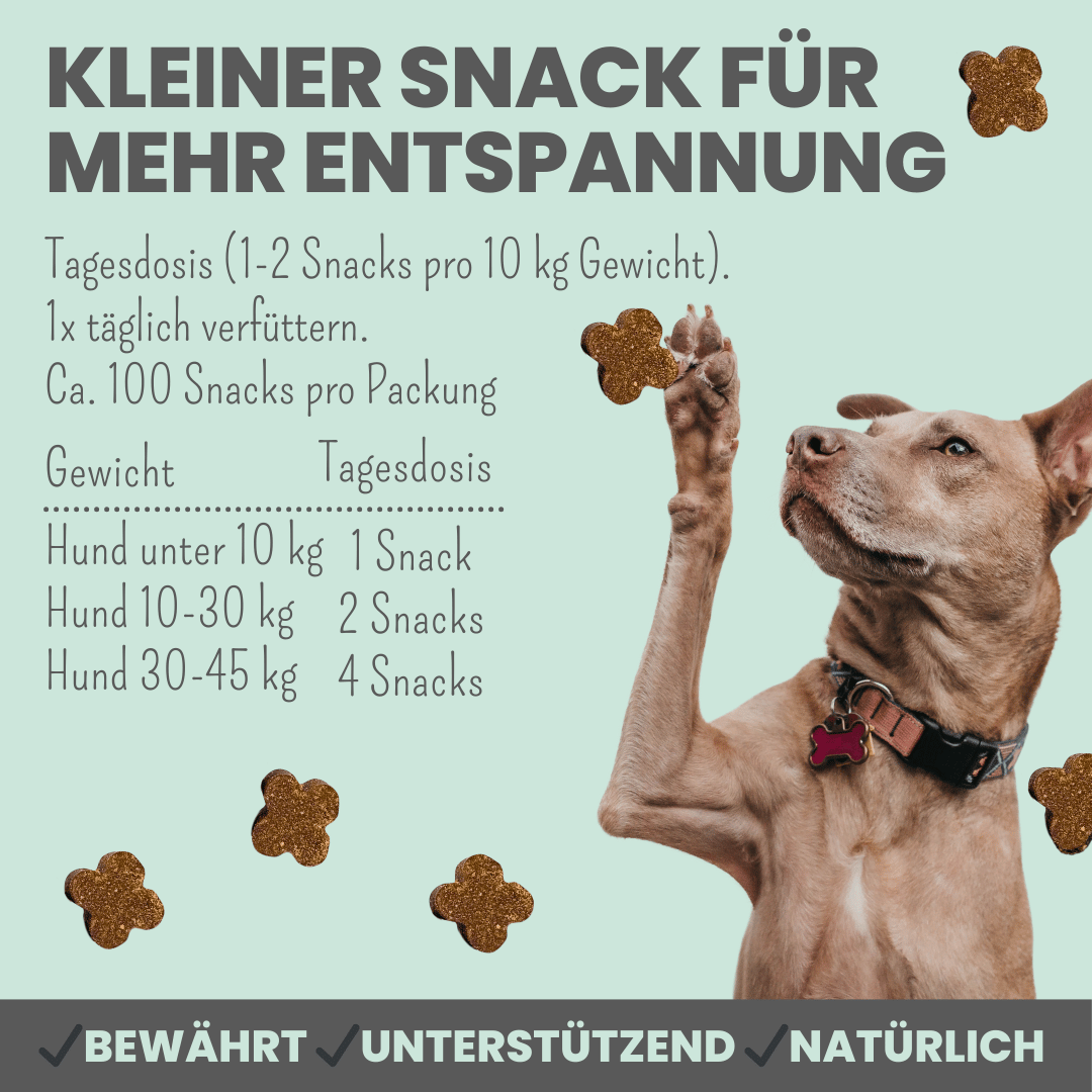 
                  
                    Wohlfühlsnacks für Hunde bei Stress, Angst, Unruhe & Hyperaktivität
                  
                