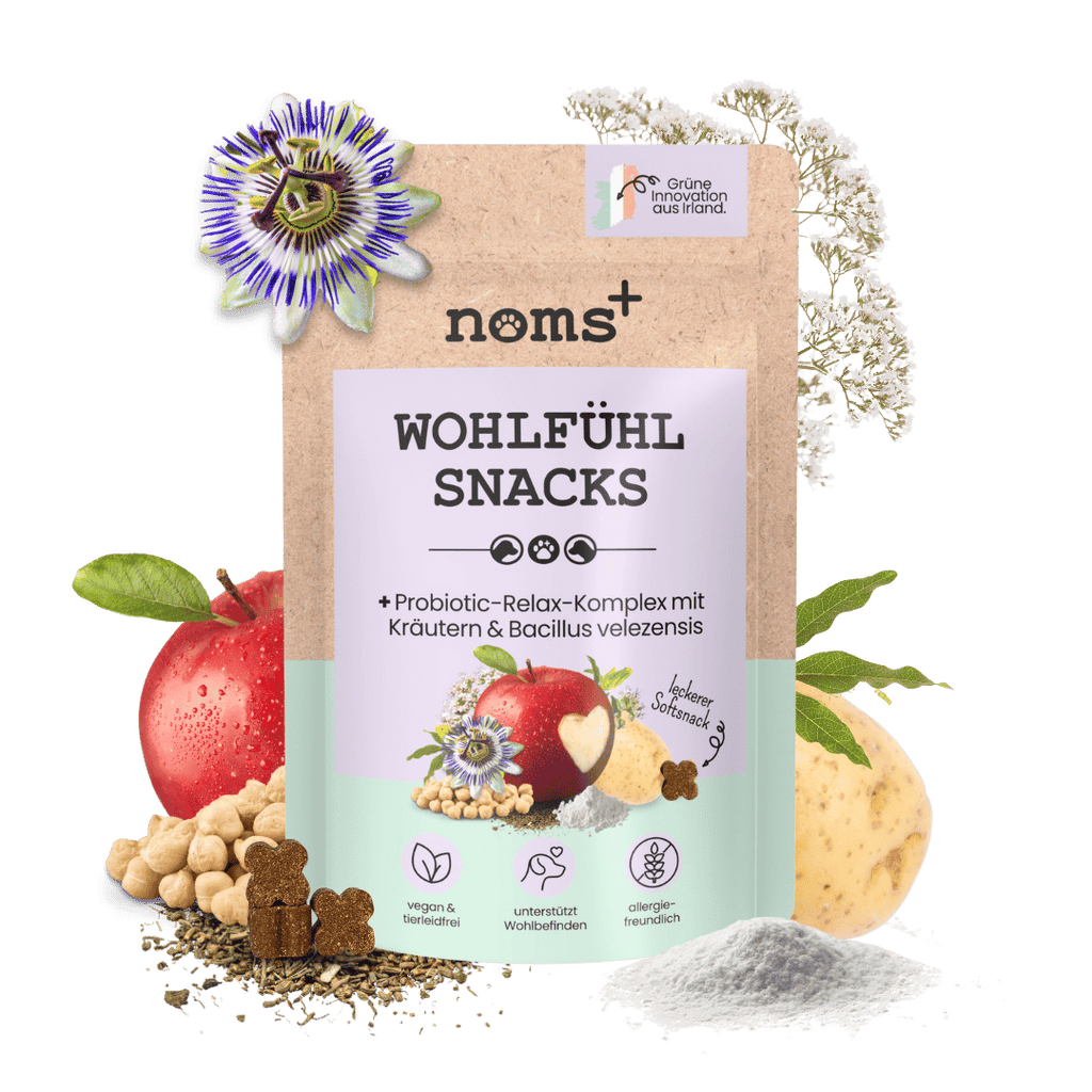 Wohlfühlsnacks für Hunde bei Stress, Angst, Unruhe & Hyperaktivität