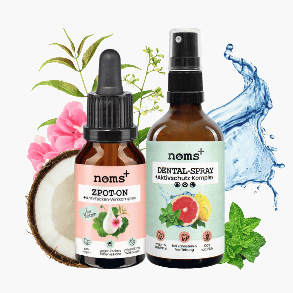 Bestseller-Duo für Katzen: Zpot-on & Dentalspray