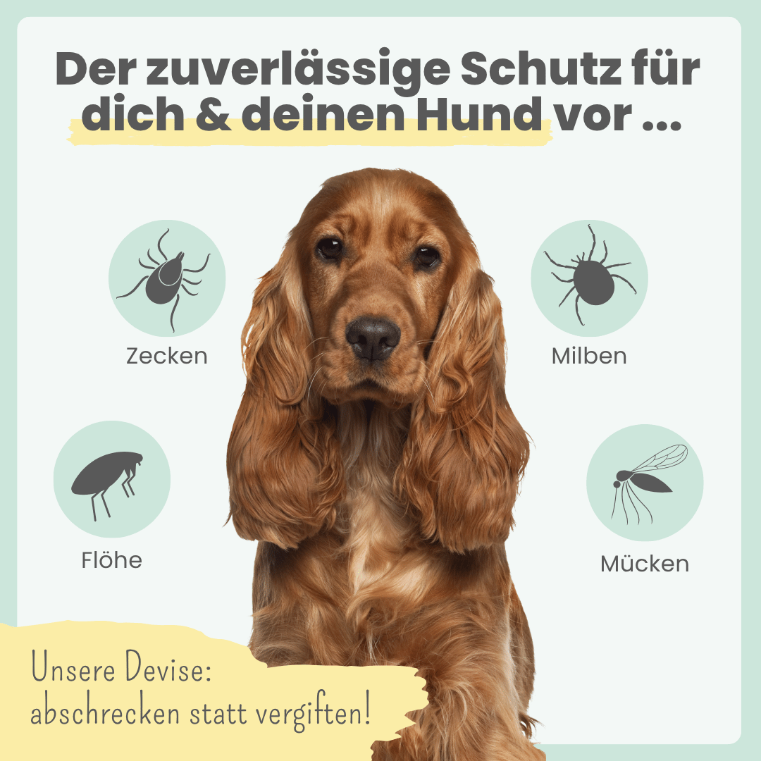 
                  
                    Zpray für Hunde und Menschen gegen Zecken, Flöhe, Milben & Mücken
                  
                