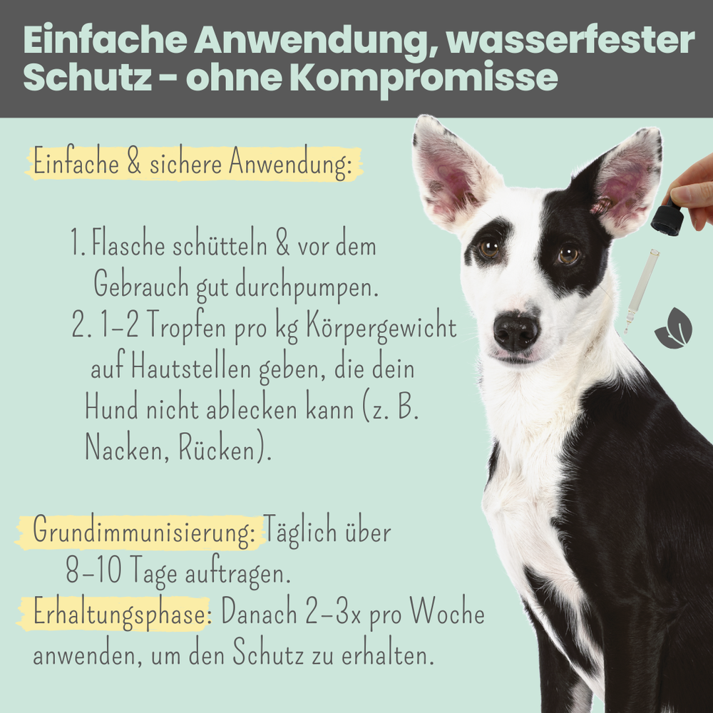 
                  
                    Forte Abwehr-Duo: Zpray & Zpot-on forte & wasserfest
                  
                