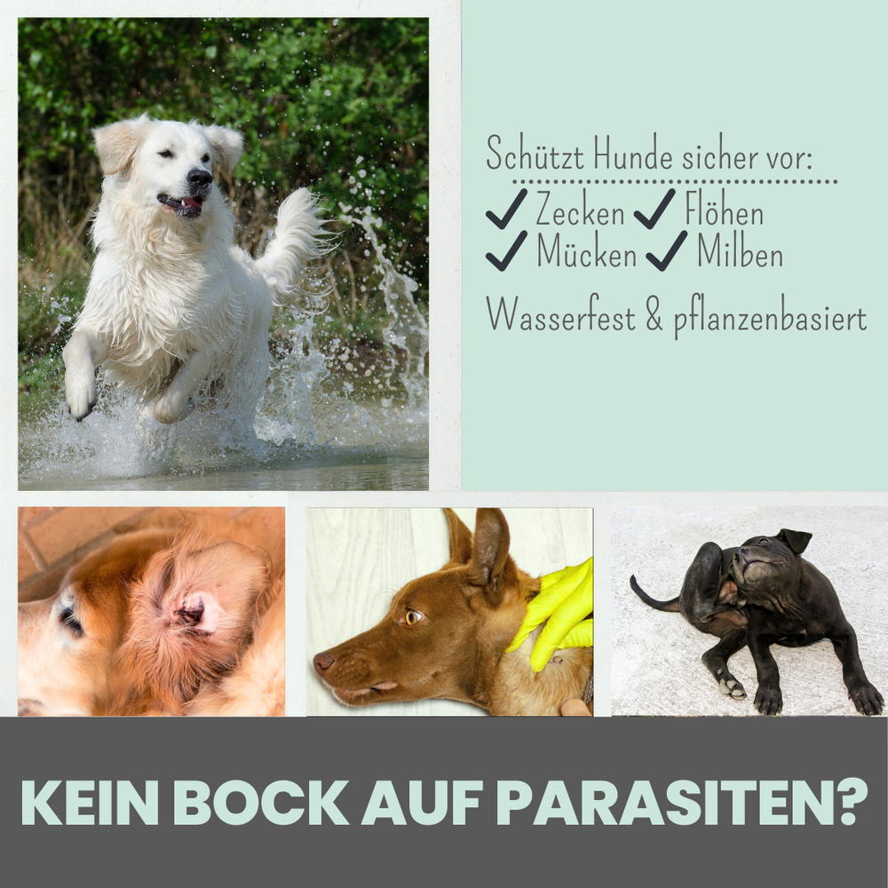 
                  
                    Forte Abwehr-Duo: Zpray & Zpot-on forte & wasserfest
                  
                