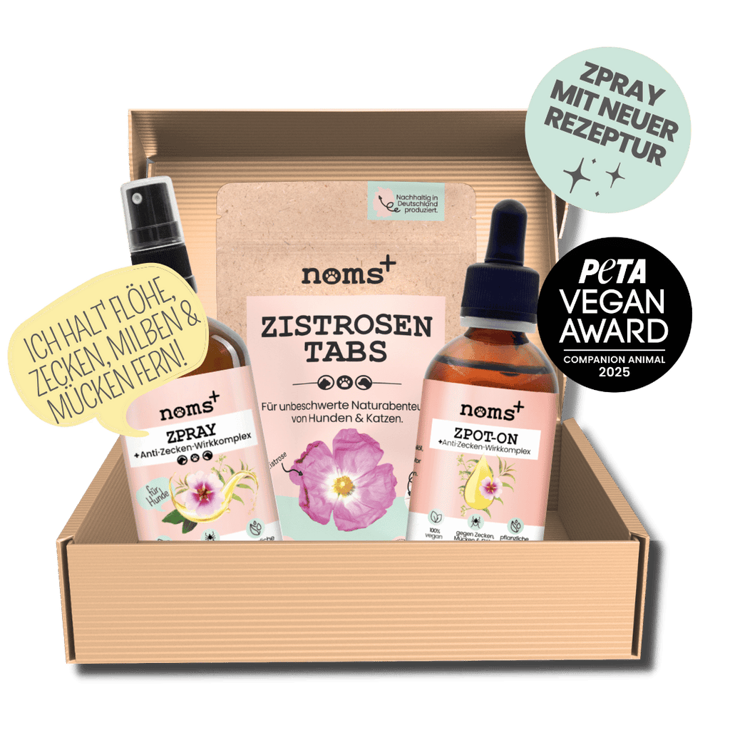 Abwehrkraft-Box: classic Zpot-on, Zpray & Zistrosen Tabs