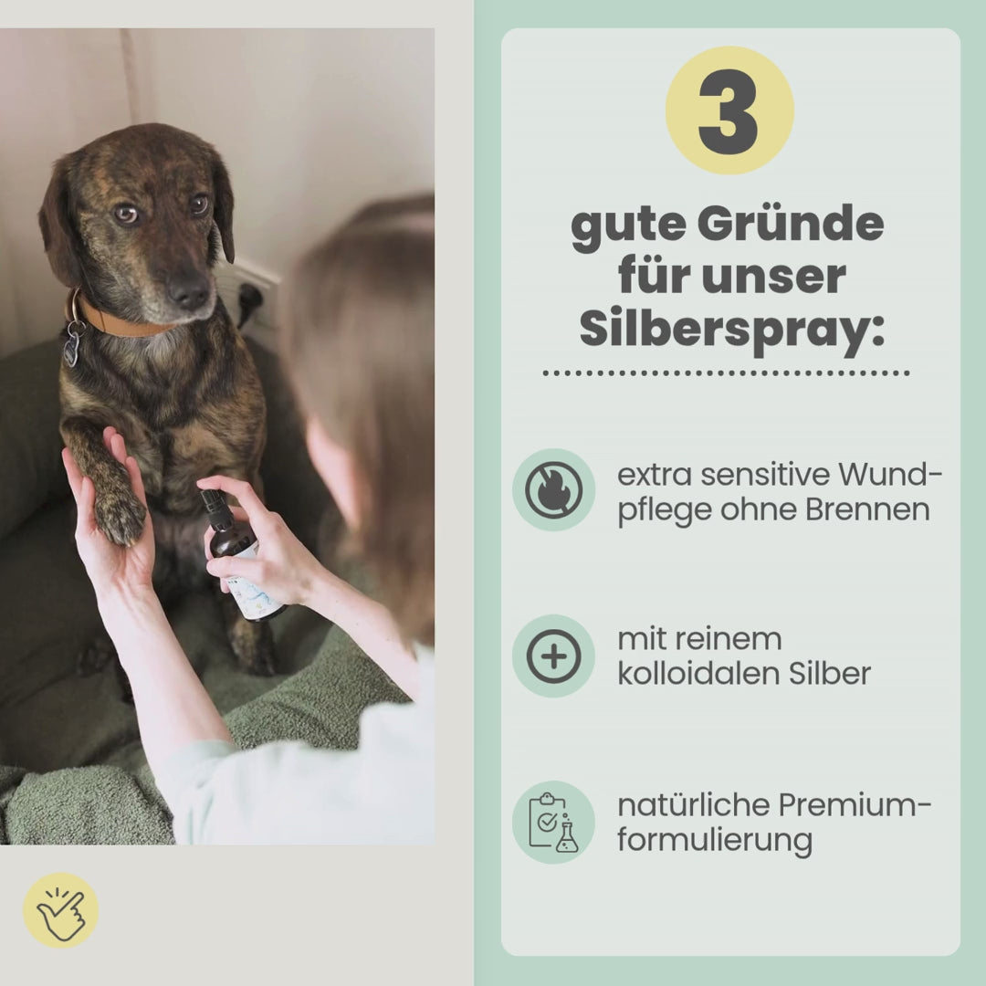 
                  
                    Laden und Abspielen von Videos im Galerie-Viewer, Silberspray für Hunde und Katzen mit 50ppm
                  
                