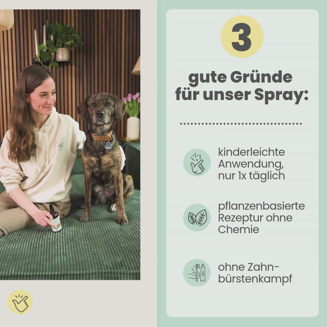 
                  
                    Laden und Abspielen von Videos im Galerie-Viewer, Natürliches Zahnpflege-Duo: Dentalspray und Enzymodent
                  
                