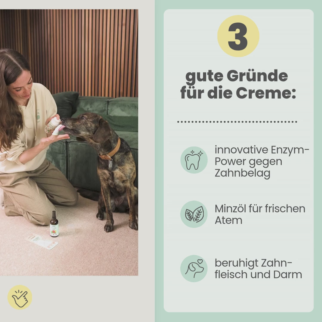 
                  
                    Laden und Abspielen von Videos im Galerie-Viewer, Enzymodent: Enzymatische Zahnpasta für Hunde mit natürlicher Pflege- und Präventionsformel
                  
                