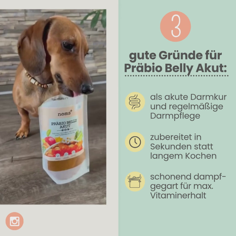 
                  
                    Laden und Abspielen von Videos im Galerie-Viewer, Präbio Belly Akut: pflanzenbasierte Darmkur für Hunde nach Moro-Art - Ready to eat
                  
                