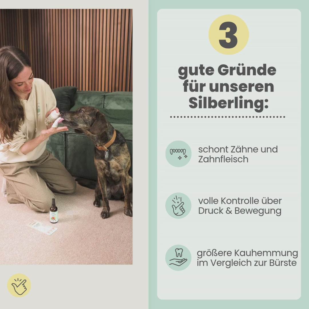 
                  
                    Laden und Abspielen von Videos im Galerie-Viewer, Silberling: Antibakterieller Zahnpflege-Fingerling für Hunde mit Silberionen
                  
                