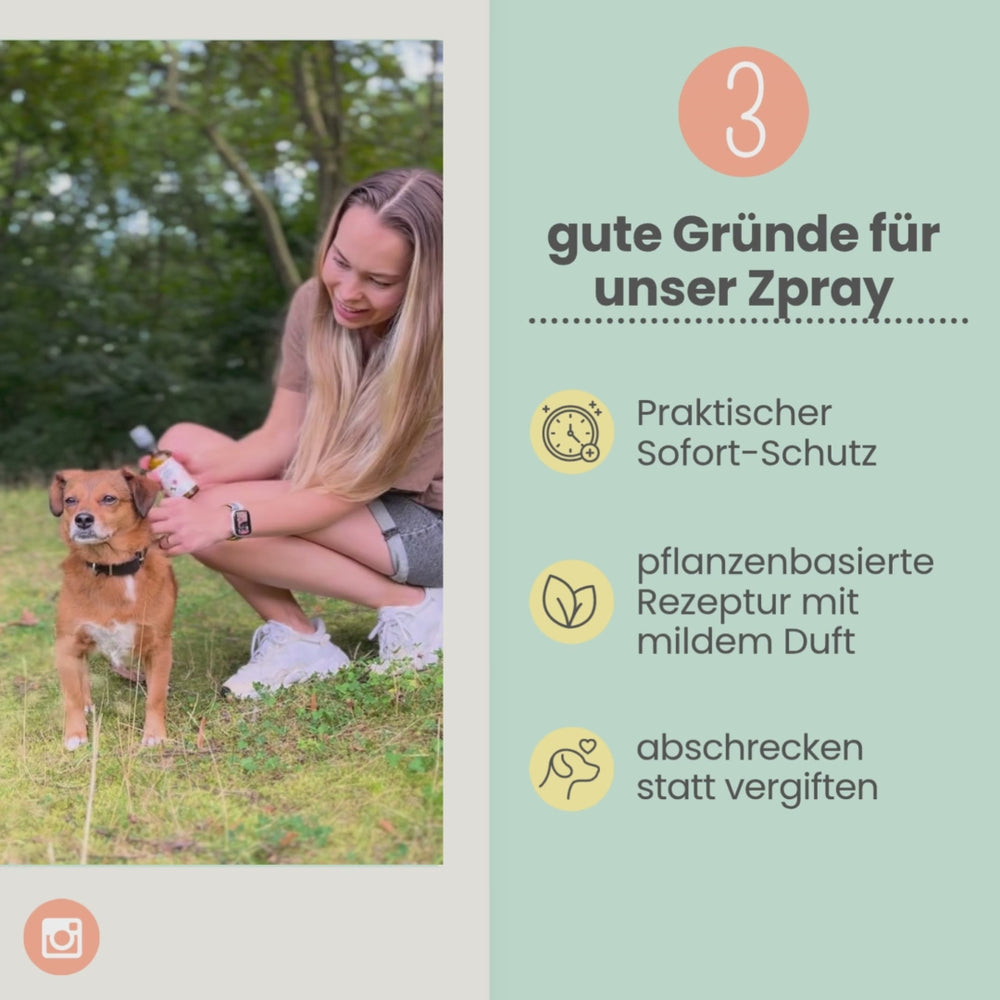 
                  
                    Laden und Abspielen von Videos im Galerie-Viewer, Zpray für Hunde gegen Zecken, Flöhe, Milben &amp;amp; Mücken [Jahresvorrat]
                  
                