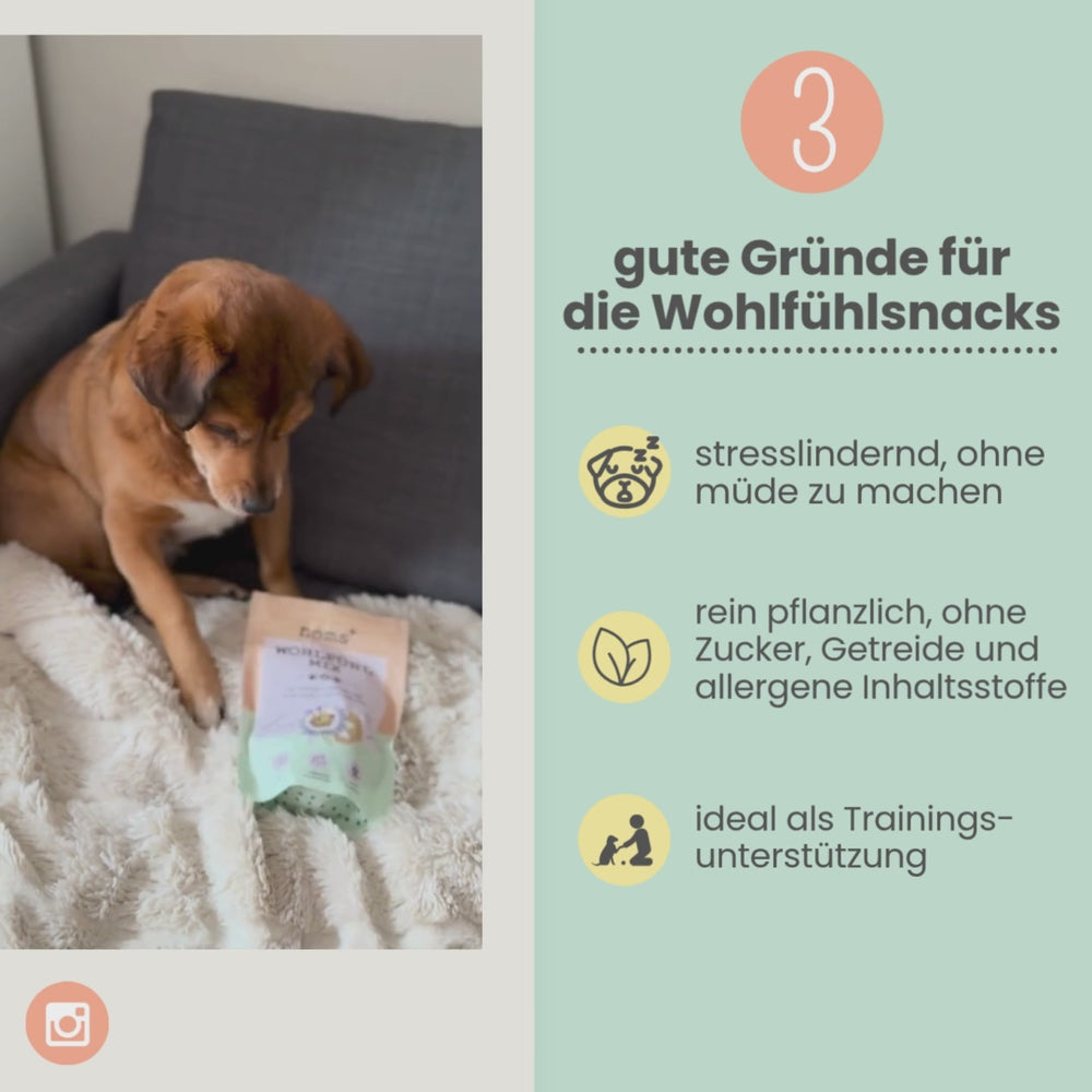 
                  
                    Laden und Abspielen von Videos im Galerie-Viewer, Wohlfühlsnacks für Hunde bei Stress, Angst, Unruhe &amp;amp; Hyperaktivität
                  
                