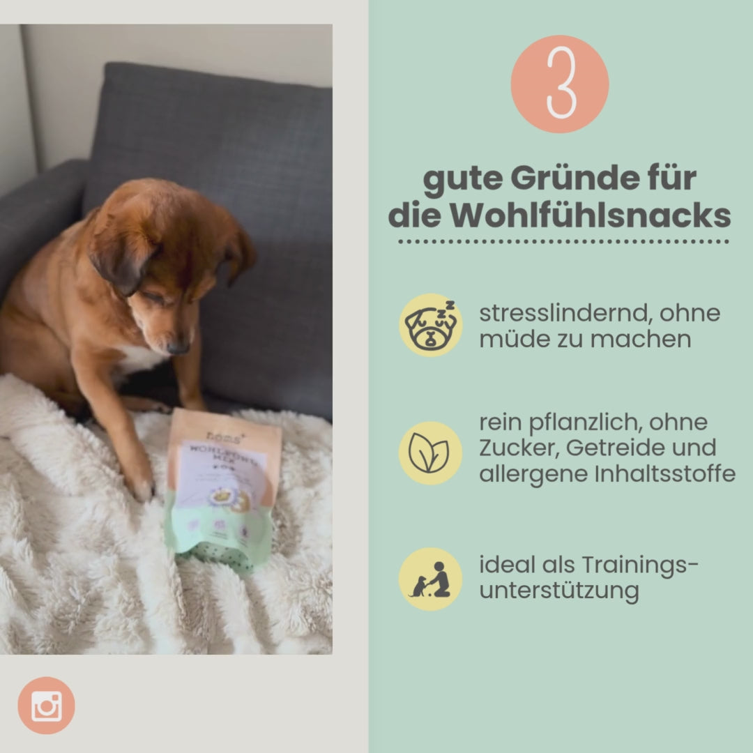 
                  
                    Laden und Abspielen von Videos im Galerie-Viewer, Wohlfühlsnacks für Hunde bei Stress, Angst, Unruhe &amp;amp; Hyperaktivität
                  
                