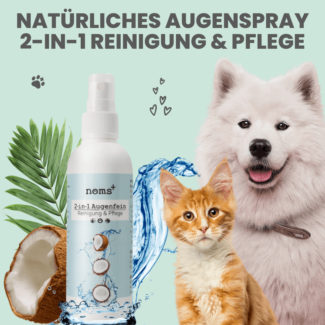 
                  
                    Großes Pflege-Set (2-in-1 Augenfein + 2-in-1 Ohrfein + Pflegepads)
                  
                