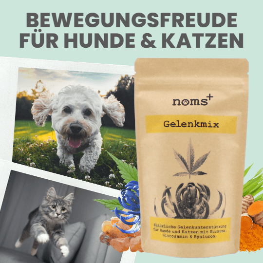 
                  
                    Gelenkmix für Hunde mit Teufelskralle, Kurkuma & Glucosamin
                  
                