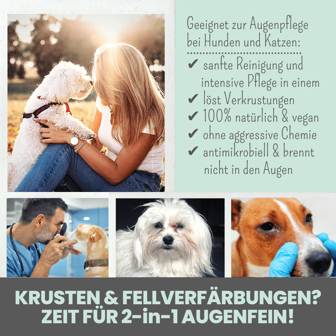 
                  
                    Großes Pflege-Set (2-in-1 Augenfein + 2-in-1 Ohrfein + Pflegepads)
                  
                
