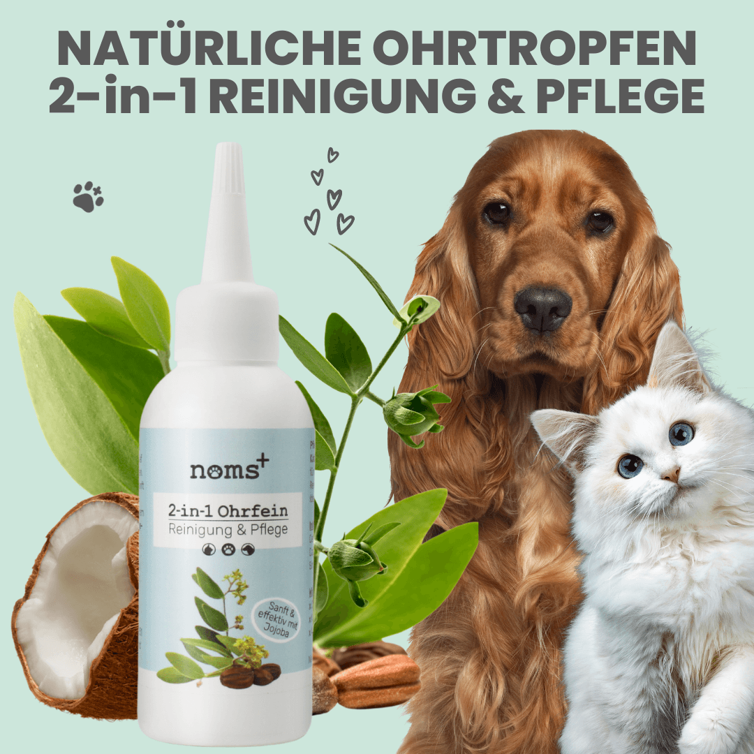 
                  
                    Großes Pflege-Set (2-in-1 Augenfein + 2-in-1 Ohrfein + Pflegepads)
                  
                