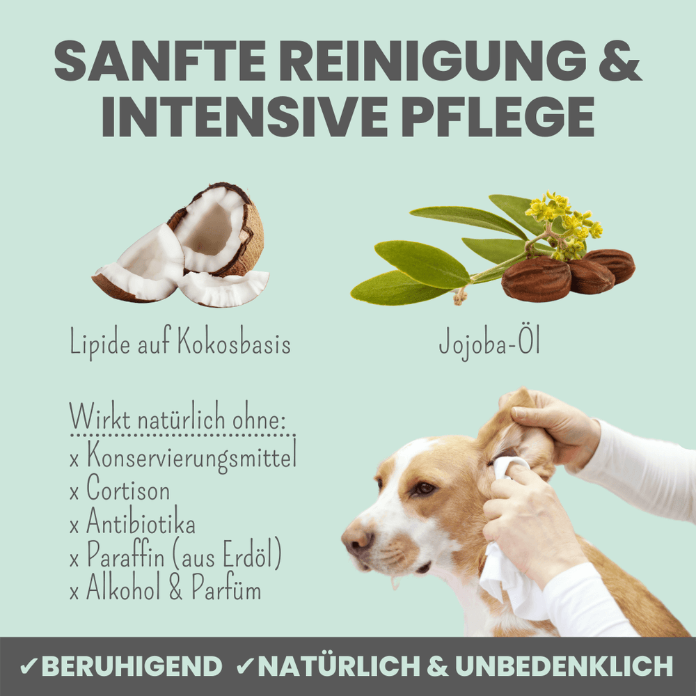
                  
                    Großes Pflege-Set (2-in-1 Augenfein + 2-in-1 Ohrfein + Pflegepads)
                  
                