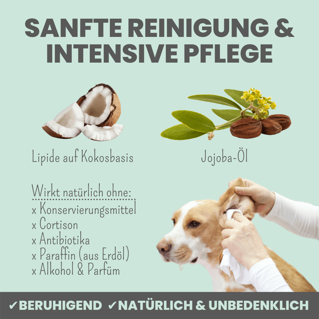
                  
                    Großes Pflege-Set (2-in-1 Augenfein + 2-in-1 Ohrfein + Pflegepads)
                  
                