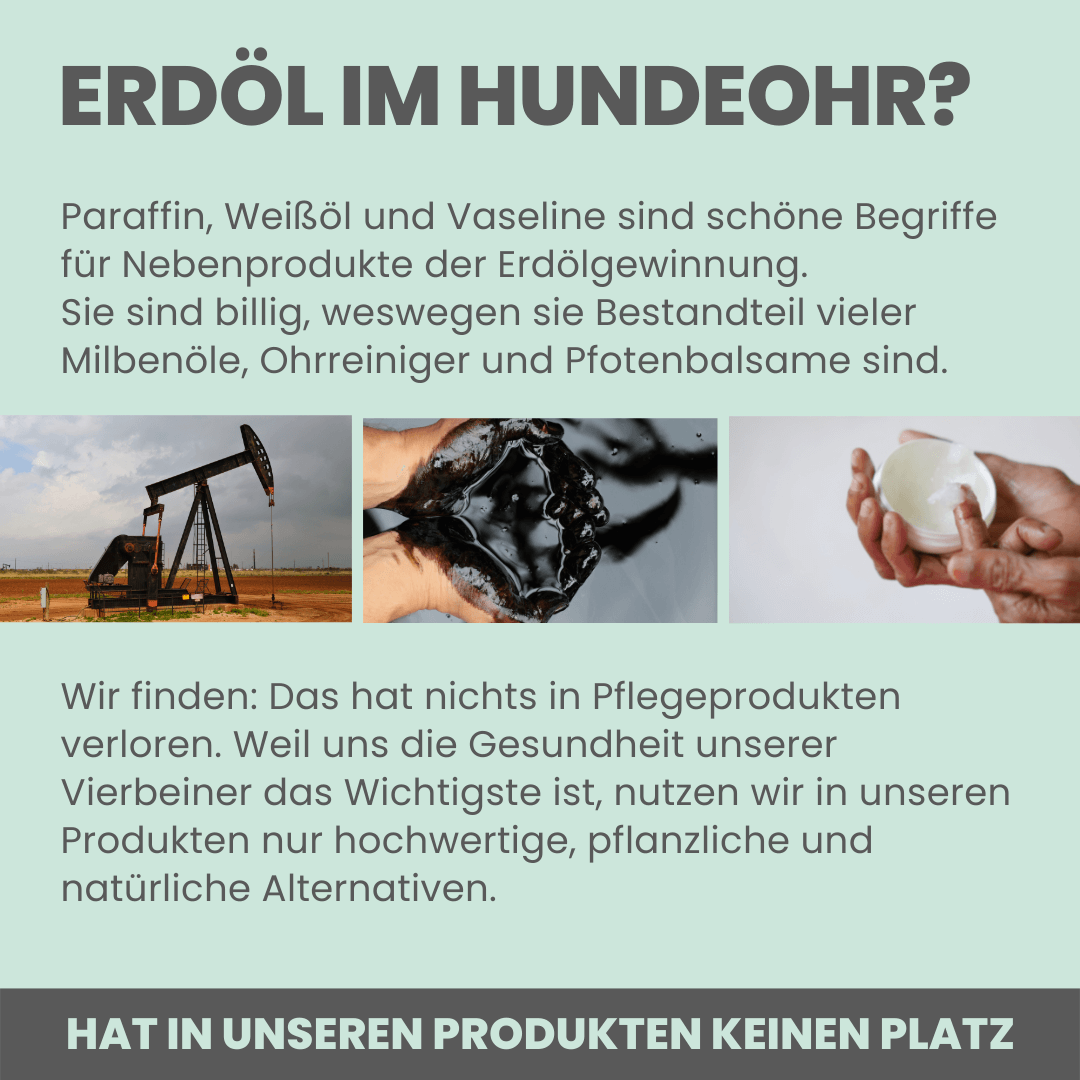 
                  
                    Großes Pflege-Set (2-in-1 Augenfein + 2-in-1 Ohrfein + Pflegepads)
                  
                