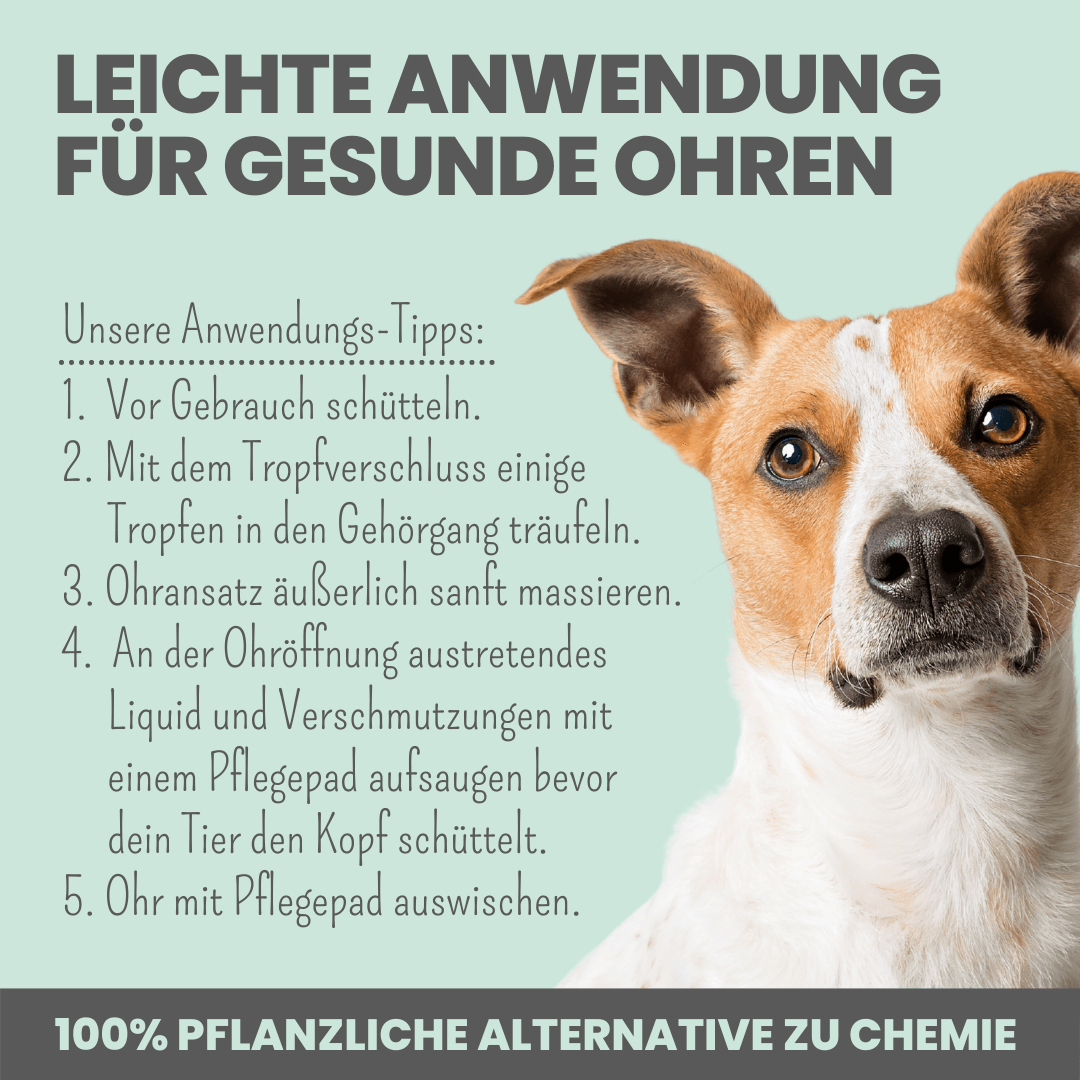 
                  
                    Großes Pflege-Set (2-in-1 Augenfein + 2-in-1 Ohrfein + Pflegepads)
                  
                